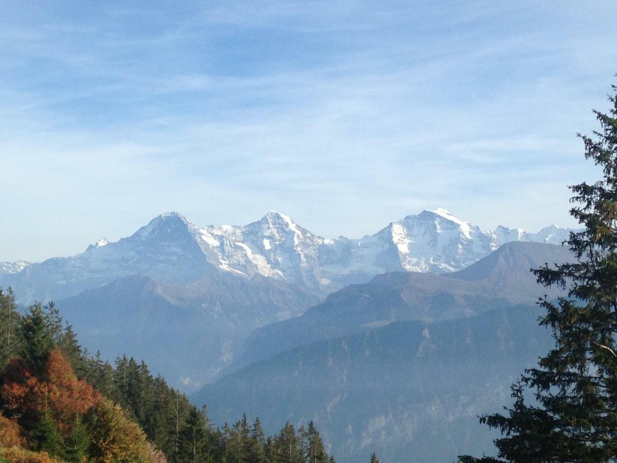 App. Seeblick Top Of Interlaken Beatenberg Εξωτερικό φωτογραφία