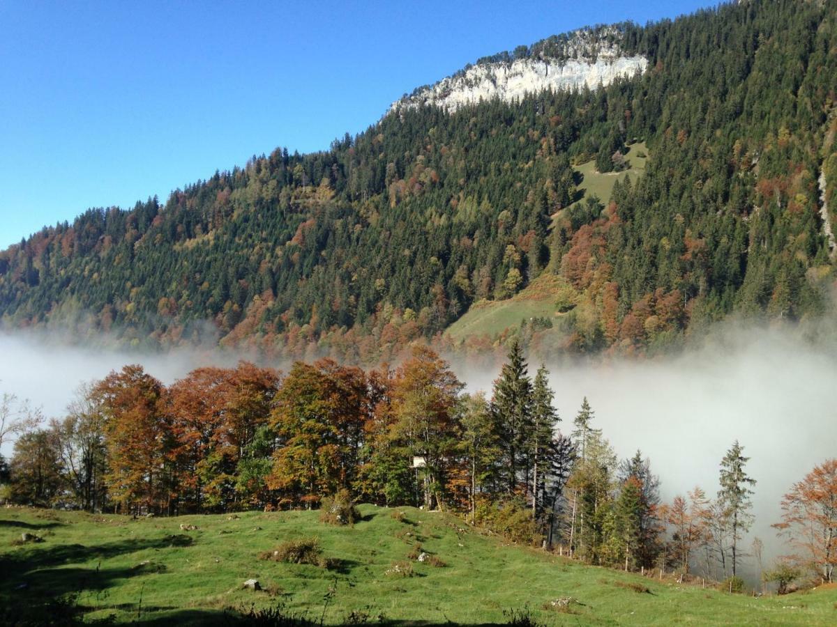App. Seeblick Top Of Interlaken Beatenberg Εξωτερικό φωτογραφία