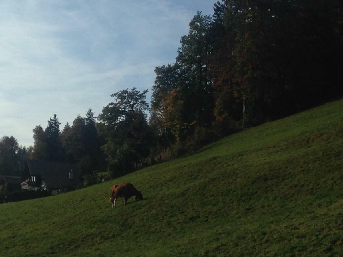 App. Seeblick Top Of Interlaken Beatenberg Εξωτερικό φωτογραφία